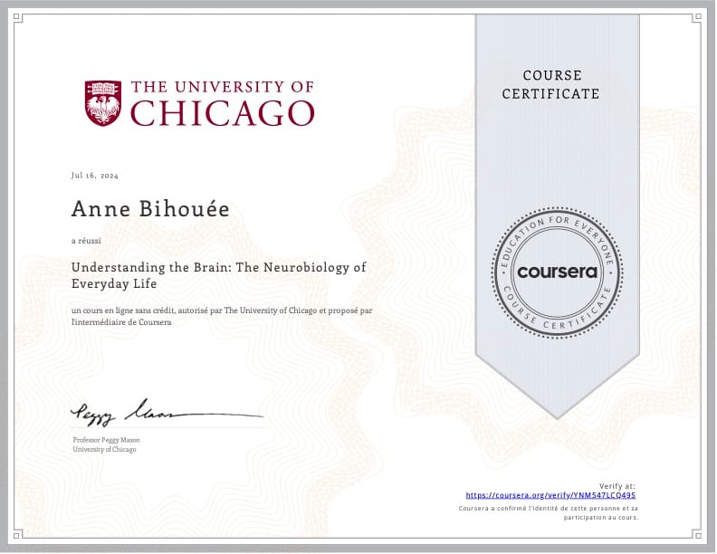 Nouvelle certification : comprendre le cerveau pour mieux accompagner ! đ§