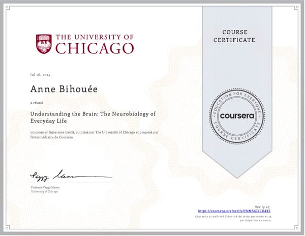 Nouvelle certification : comprendre le cerveau pour mieux accompagner ! 🧠